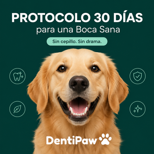 Protocolo DentiPaw 30 Días