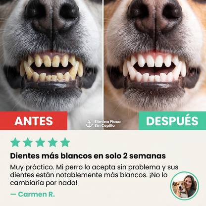 DentiPaw™ Dientes limpios. Sin drama.
